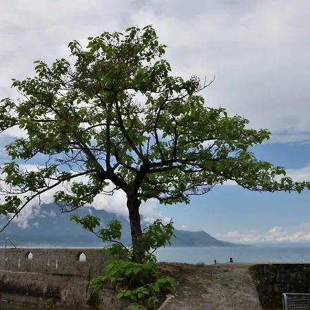 Duck House By Interhome * Clarens