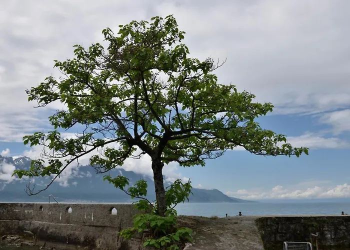 Duck House By Interhome * Clarens